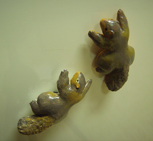 Squirrel Magnets